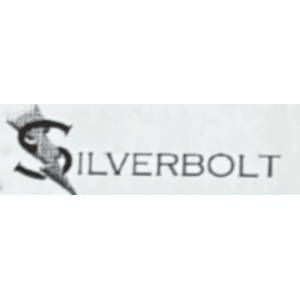 Silverbolt Instruments BCR254NL1Z-P03-XGF - GAUGE